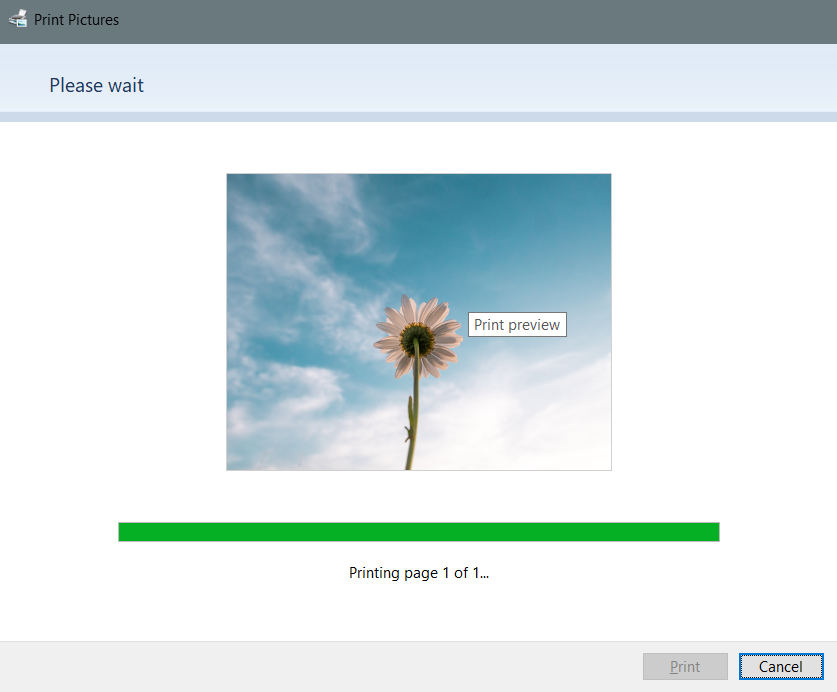 How to convert a JPG into PDF on Windows 10