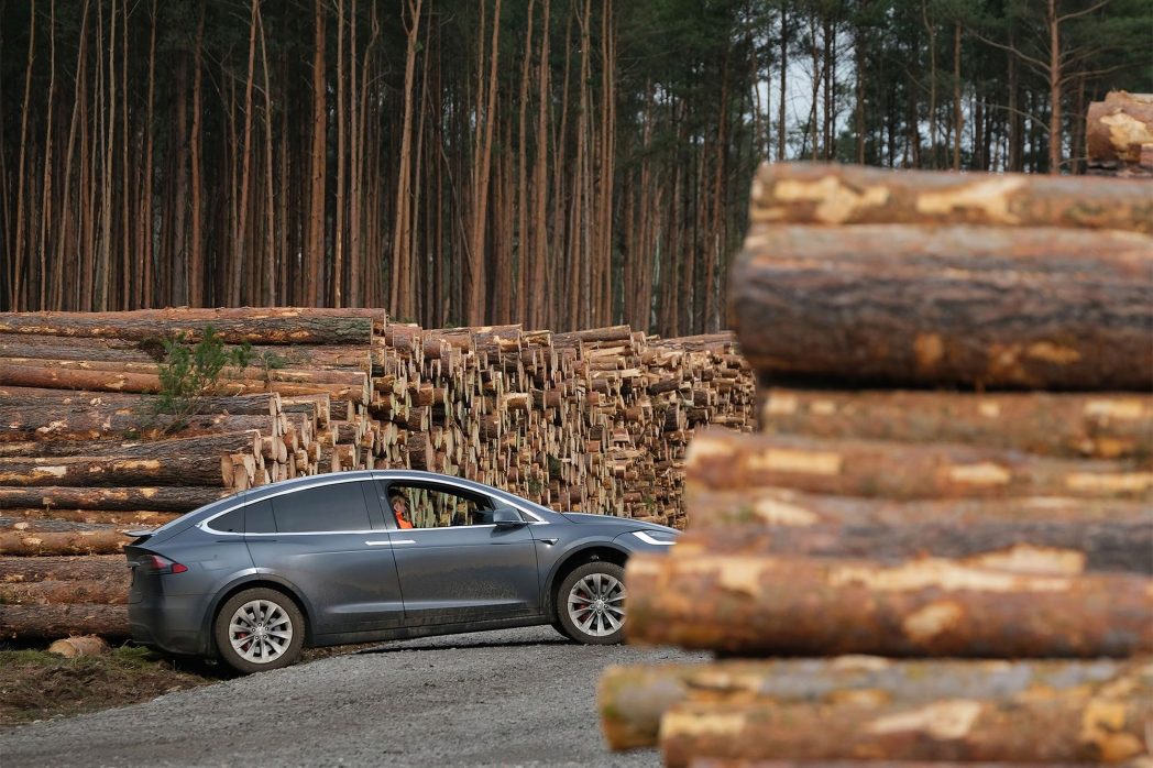 German court allows Tesla to clear forest for its Gigafactory