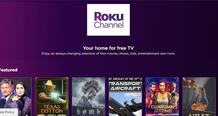 Best Browsers for Roku Devices